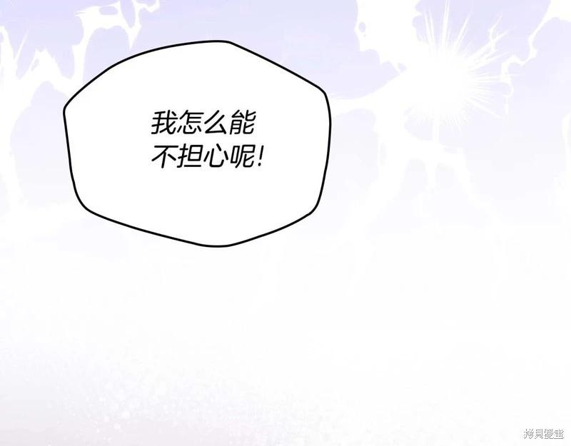 第 231 页