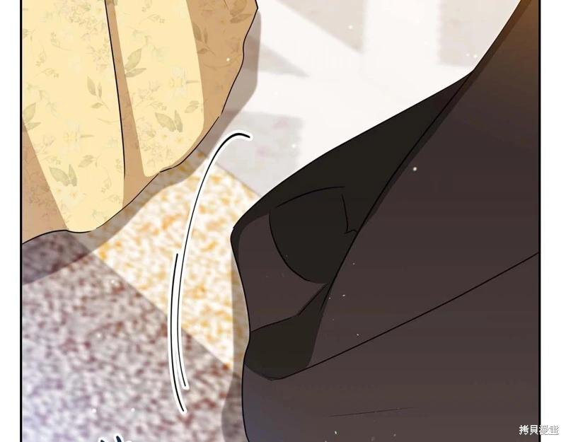 第 241 页