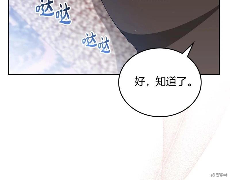 第 242 页