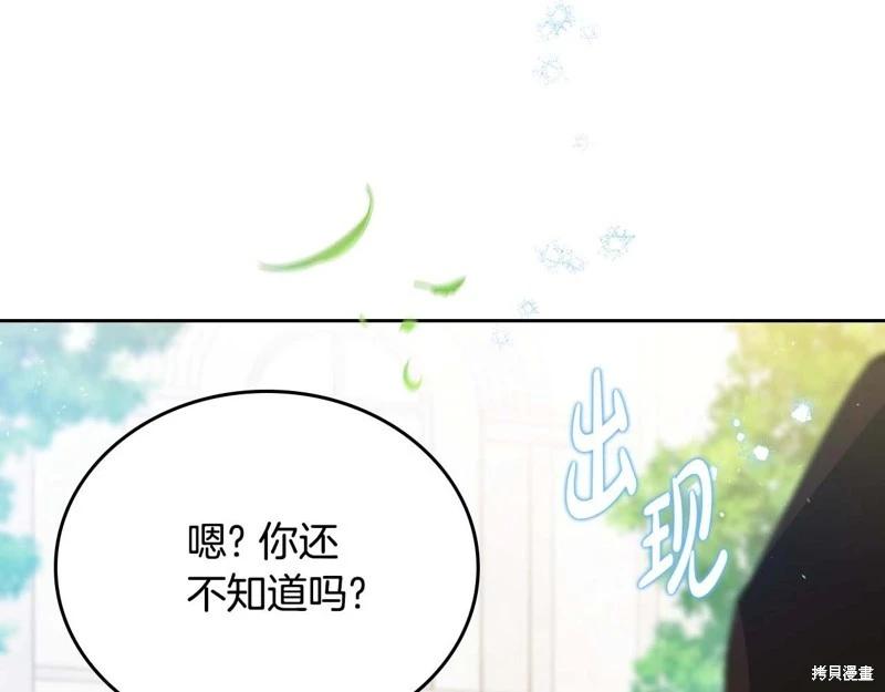 第 258 页