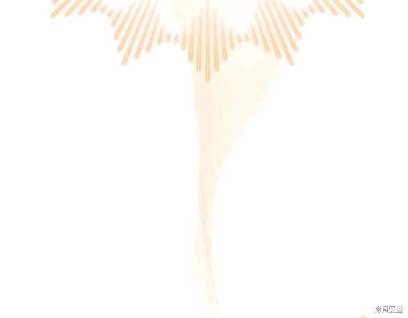 第 267 页