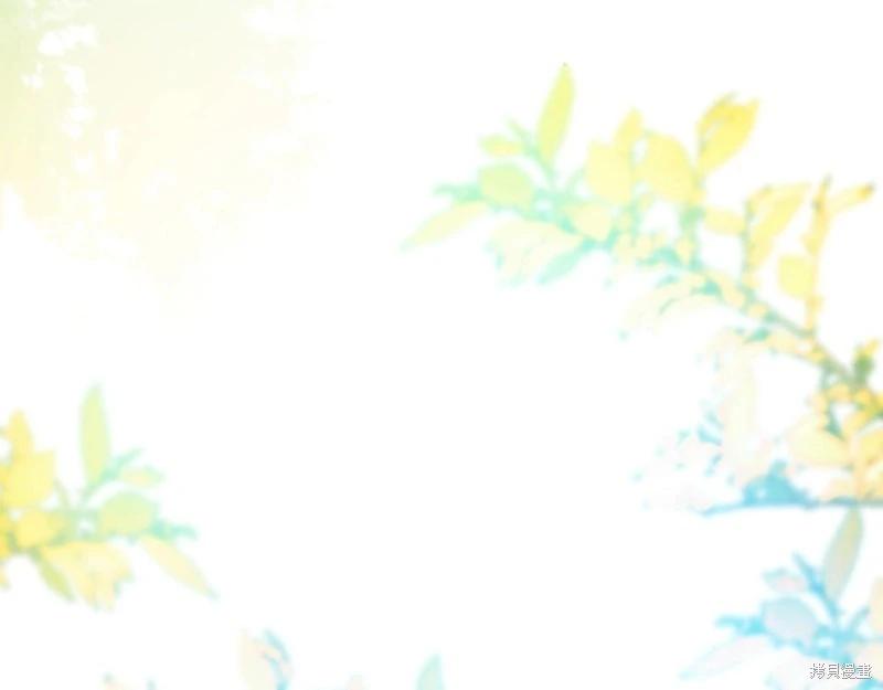 第 121 页