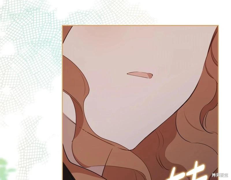 第 135 页