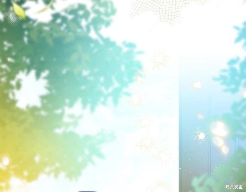 第 137 页
