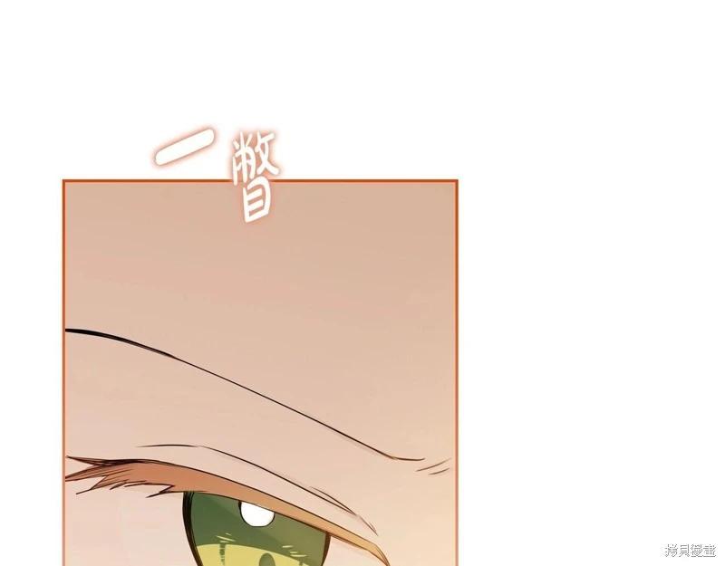 第 233 页
