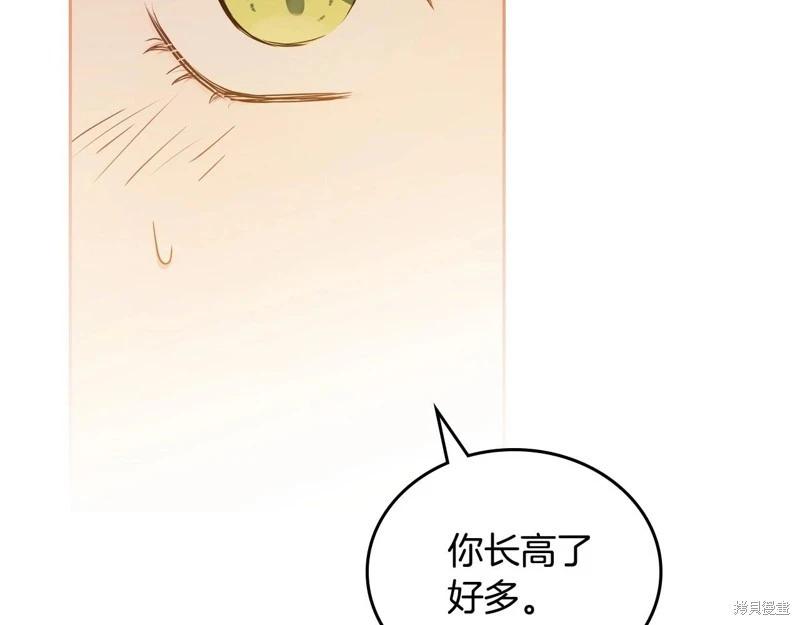 第 234 页