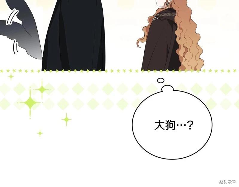 第 237 页