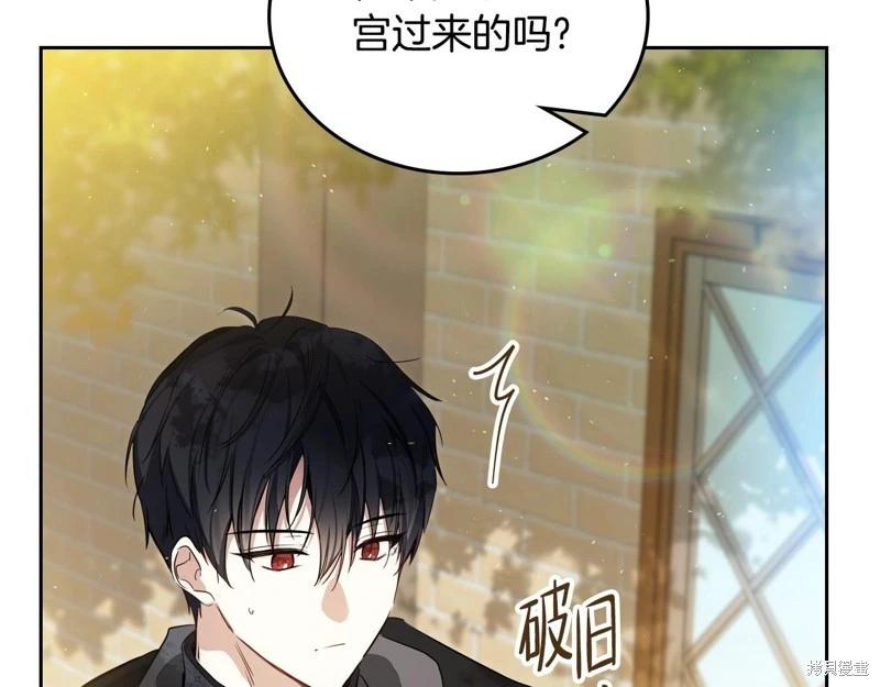 第 246 页