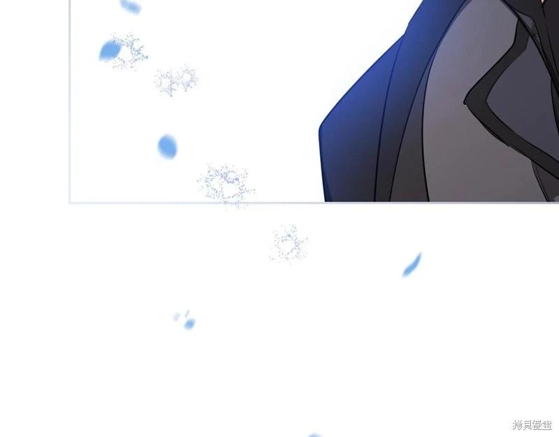 第 146 页