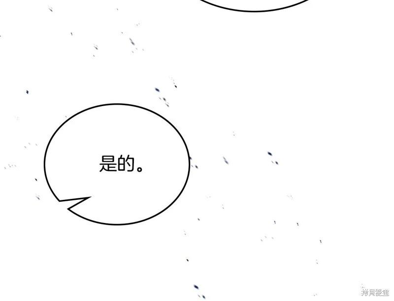 第 207 页