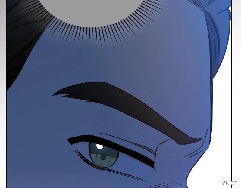 第 239 页