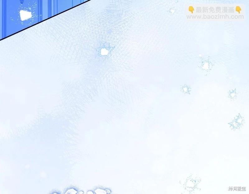 第 223 页