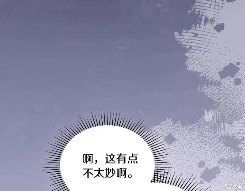 第 225 页