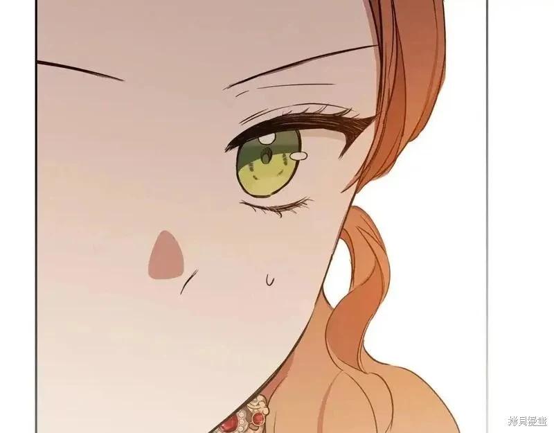 第 241 页