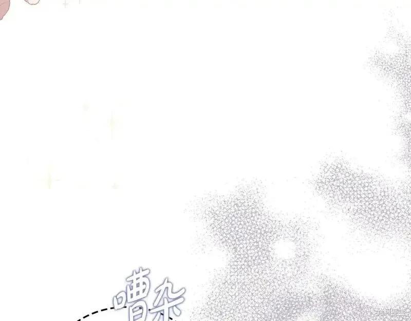 第 126 页