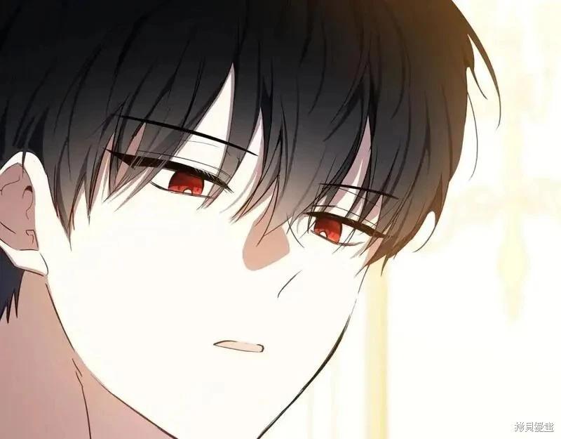 第 230 页