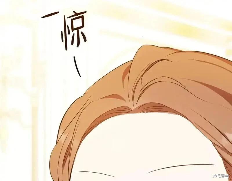 第 233 页