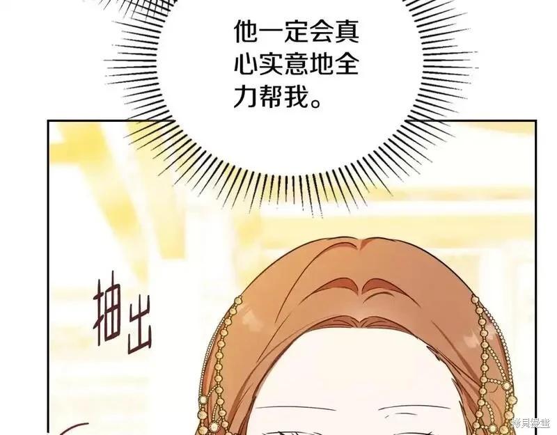 第 246 页