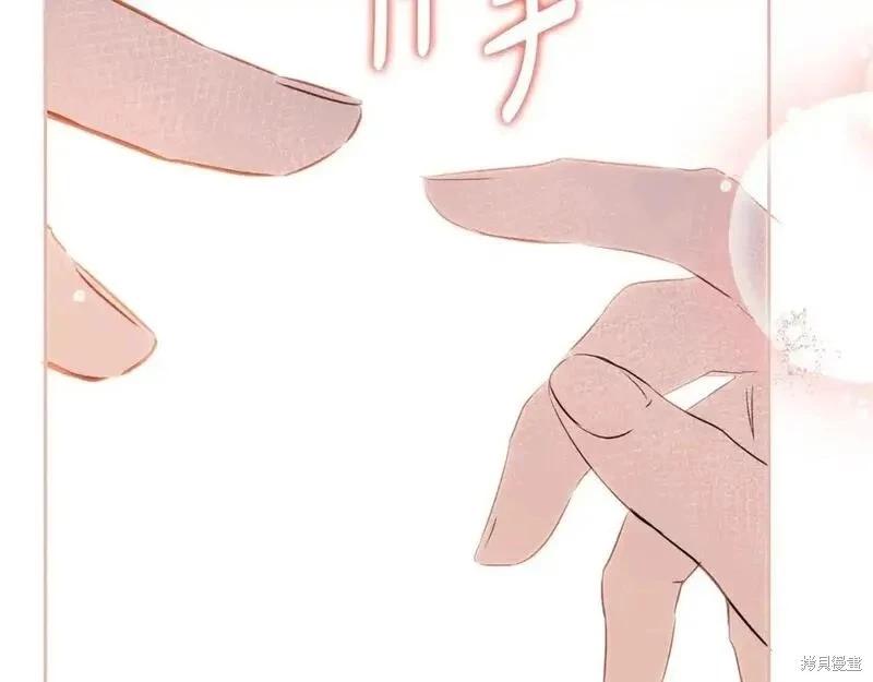 第 255 页