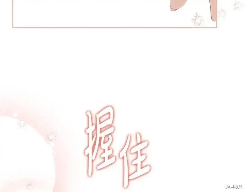 第 256 页