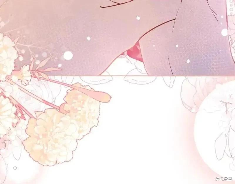 第 258 页