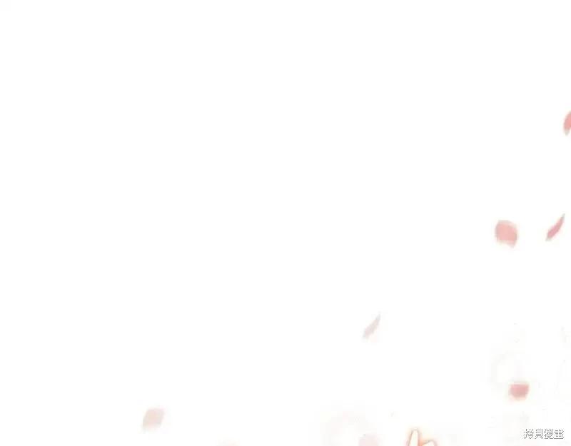 第 260 页