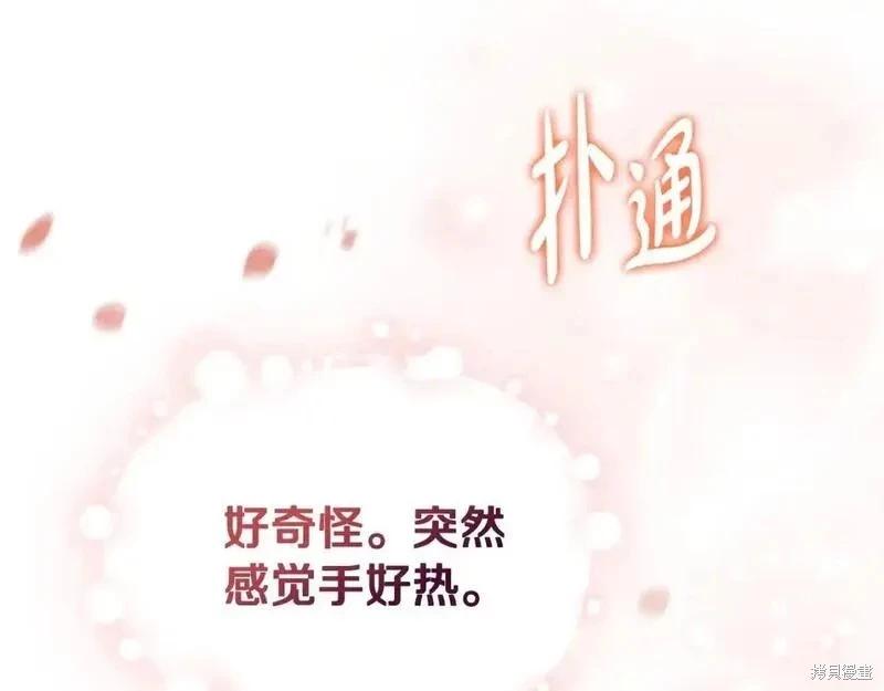 第 268 页