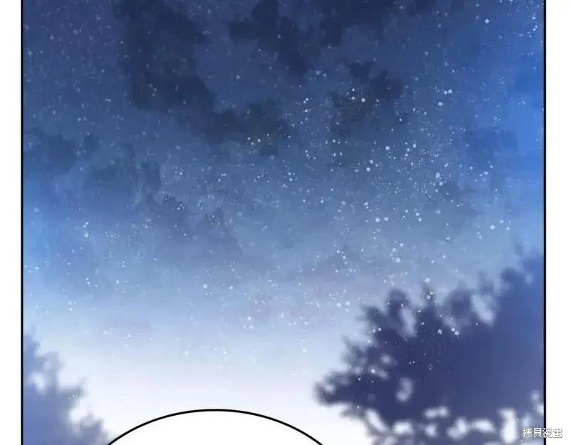 第 161 页