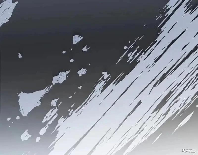第 209 页