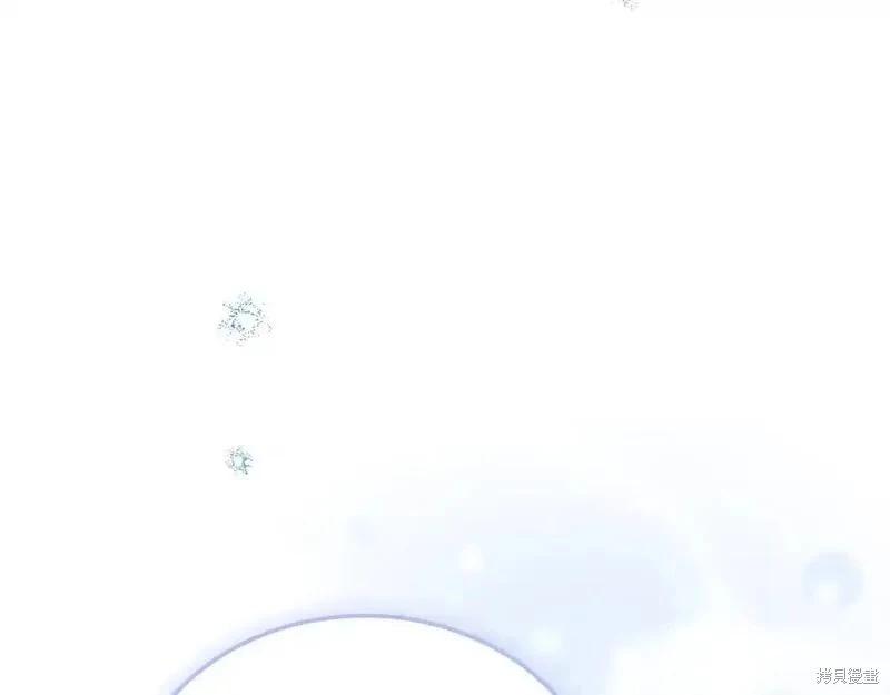 第 241 页