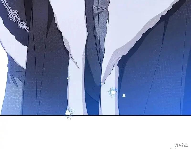 第 244 页