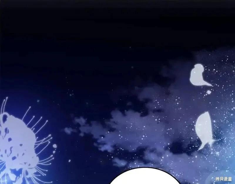 第 249 页