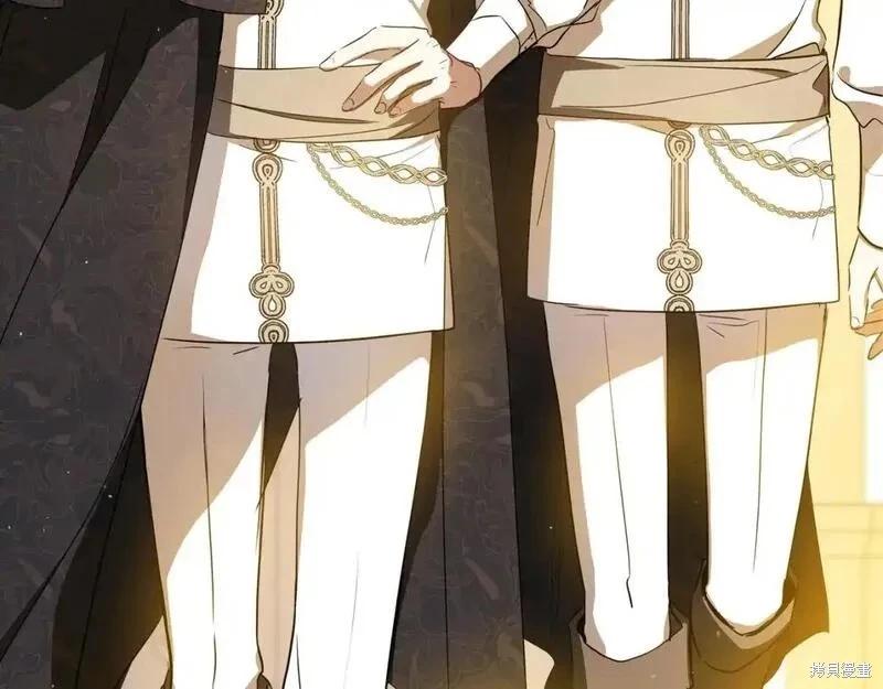 第 161 页