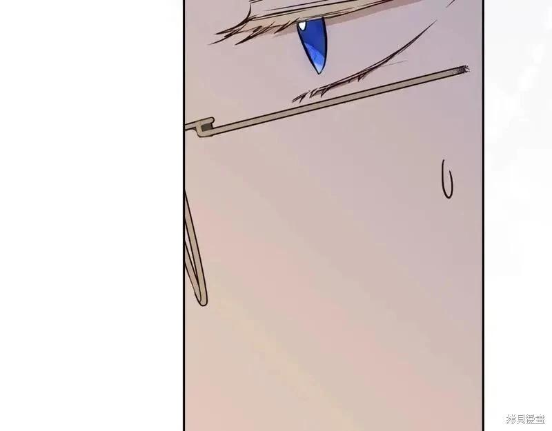 第 205 页