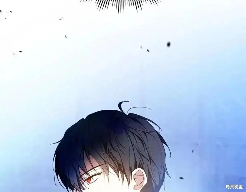 第 208 页
