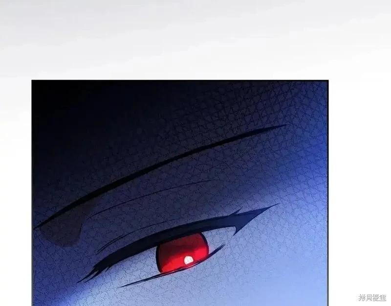 第 213 页