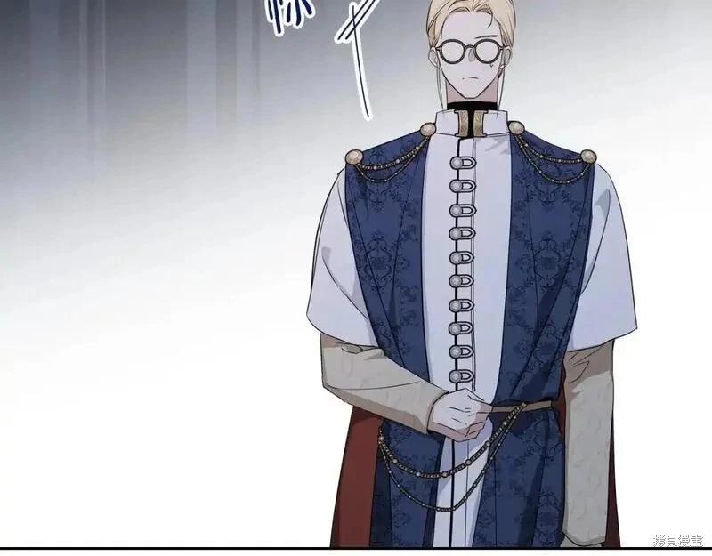 第 217 页