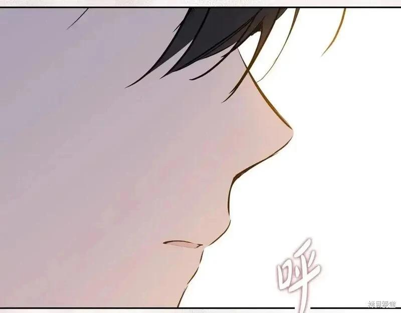 第 243 页