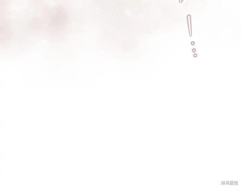 第 244 页