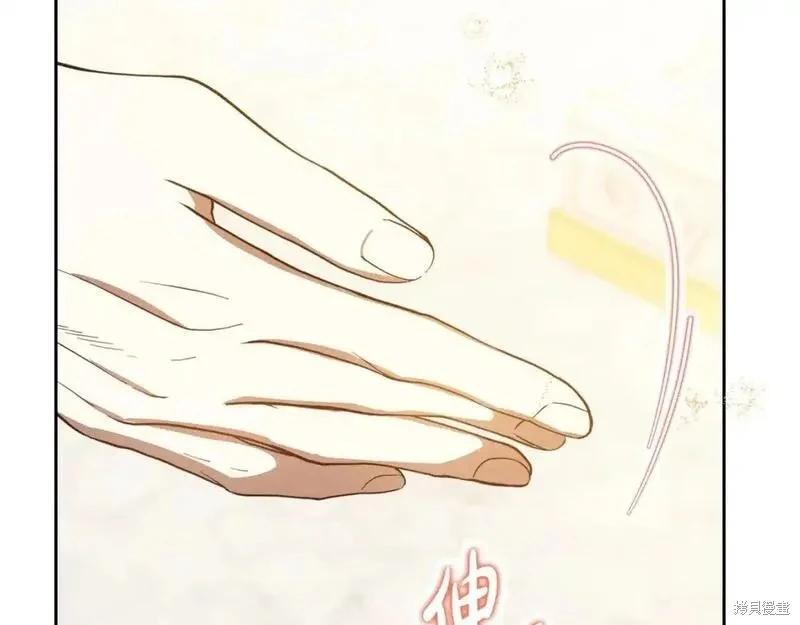 第 246 页