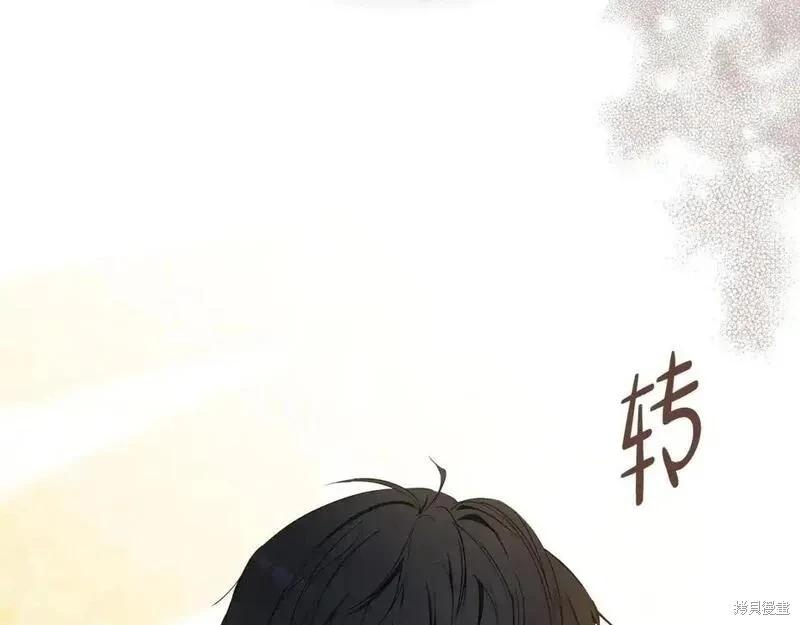 第 256 页