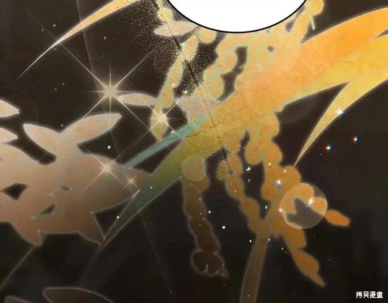 第 95 页