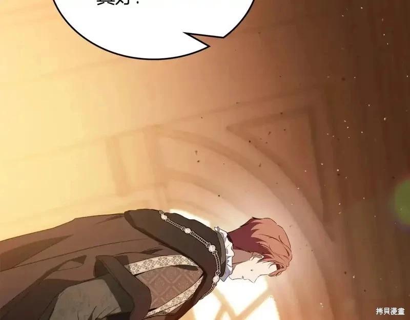 第 205 页