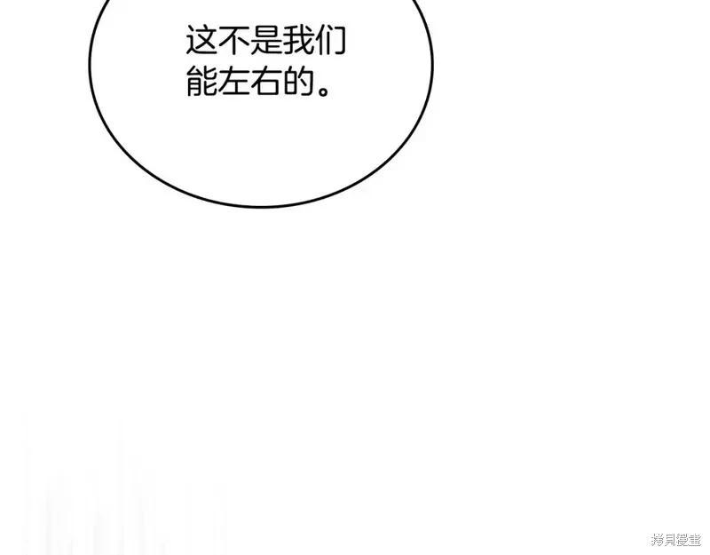 第 216 页