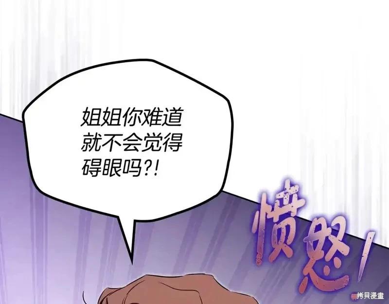 第 217 页
