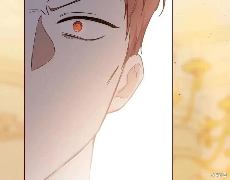 第 236 页