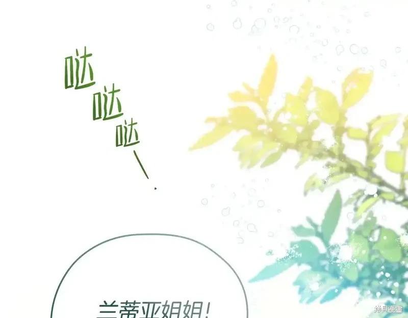 第 162 页