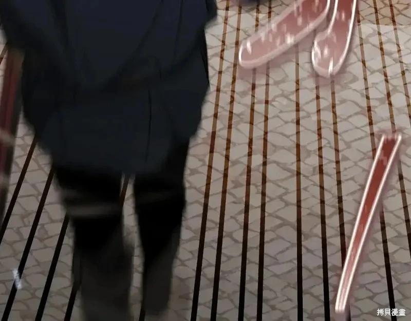 第 204 页