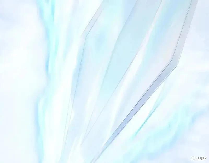 第 207 页