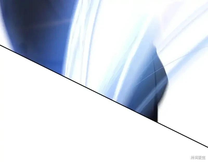第 217 页